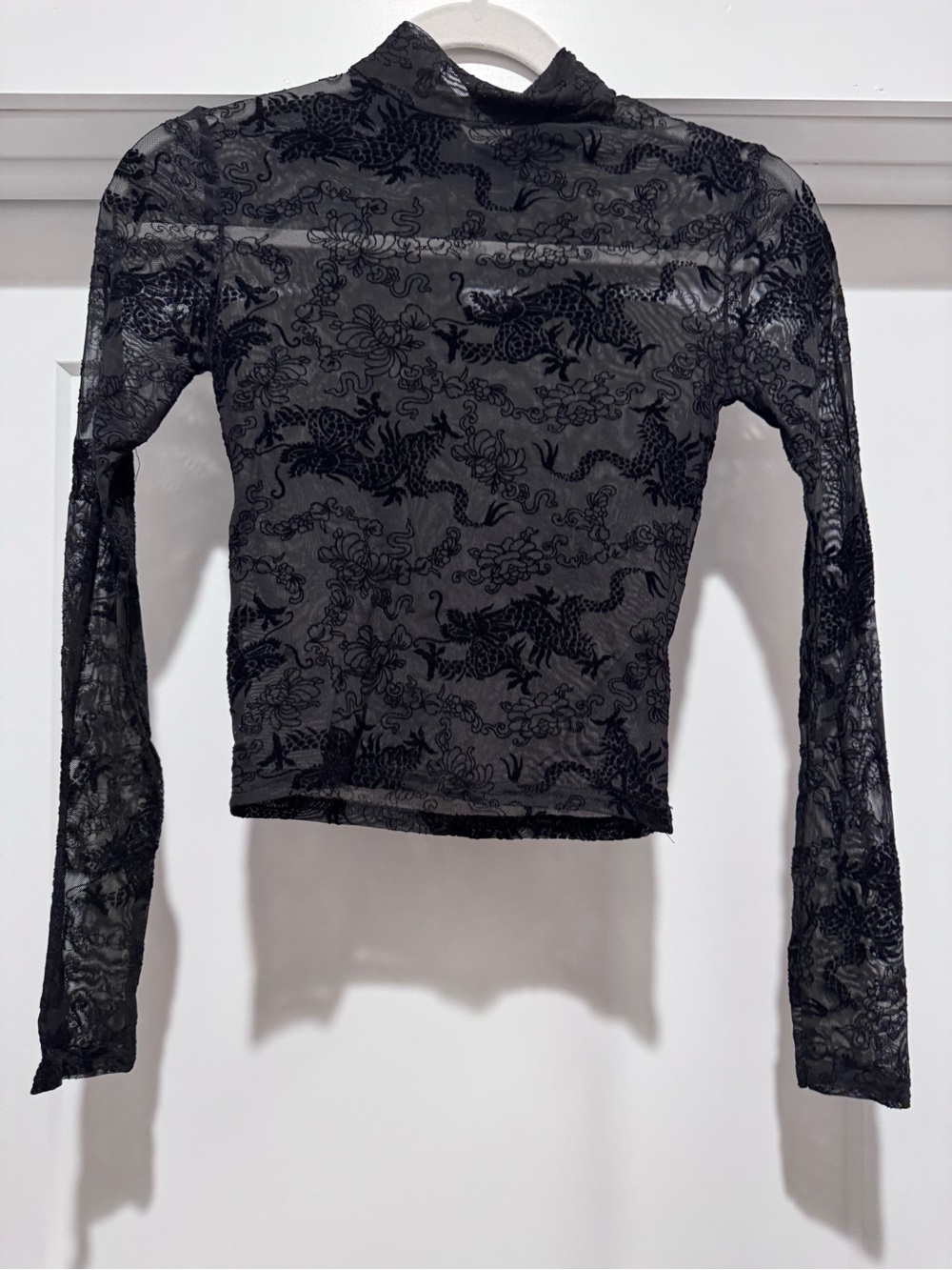 Urban Outfitters Black Sheer Dragon-Print Mock Neck Long Sleeve Top